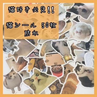 【猫好き必見!!】猫シール☆50枚☆防水☆ノート☆冷蔵庫☆ペット☆(シール)