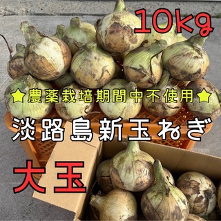 【産地直送】美味しい♪ 農薬栽培期間中不使用 淡路島新玉ねぎ(大玉)10kg(野菜)