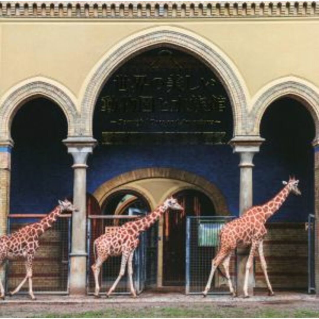 世界の美しい動物園と水族館／パイインターナショナル(編者) エンタメ/ホビーの本(その他)の商品写真