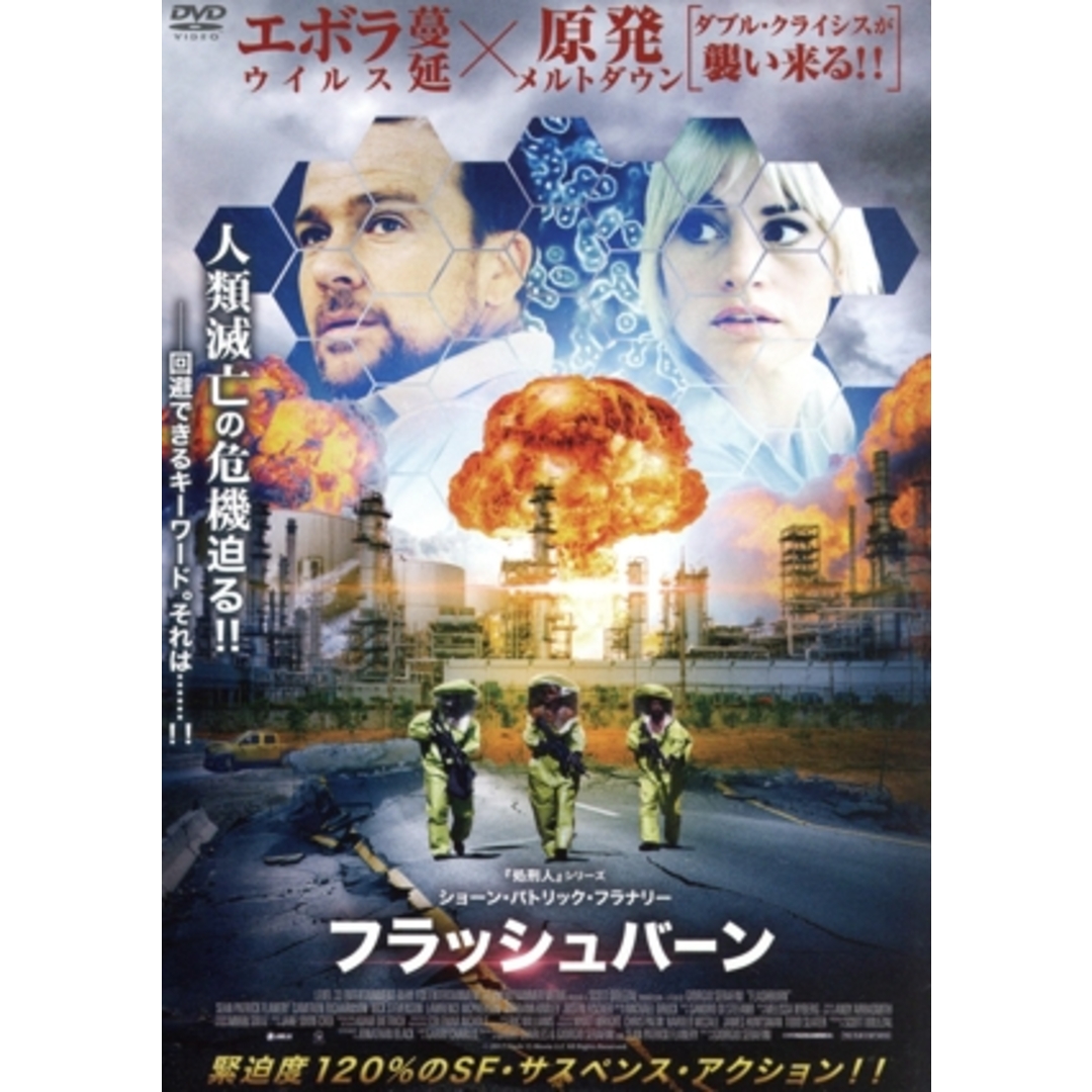 フラッシュバーン エンタメ/ホビーのDVD/ブルーレイ(外国映画)の商品写真