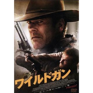 ワイルドガン(外国映画)