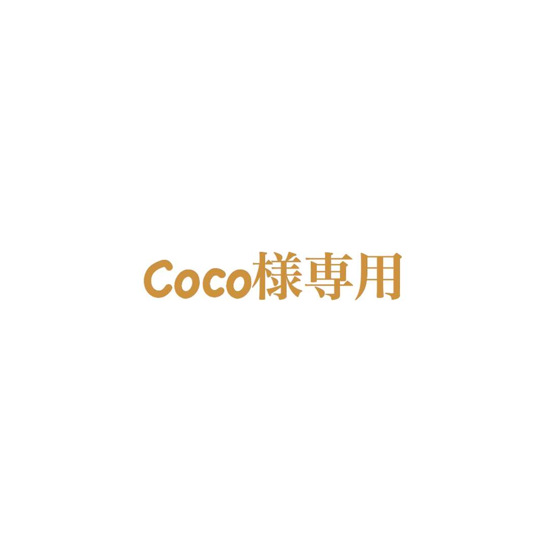 Coco様専用 その他のペット用品(ペットフード)の商品写真