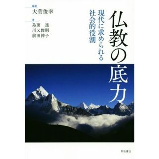 仏教の底力 現代に求められる社会的役割／島薗進(著者),川又俊則(著者),前田伸子(著者),大菅俊幸(編著)(人文/社会)