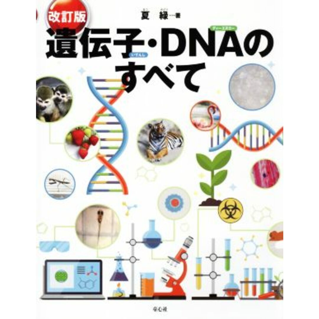 遺伝子・ＤＮＡのすべて　改訂版／夏緑(著者) エンタメ/ホビーの本(人文/社会)の商品写真