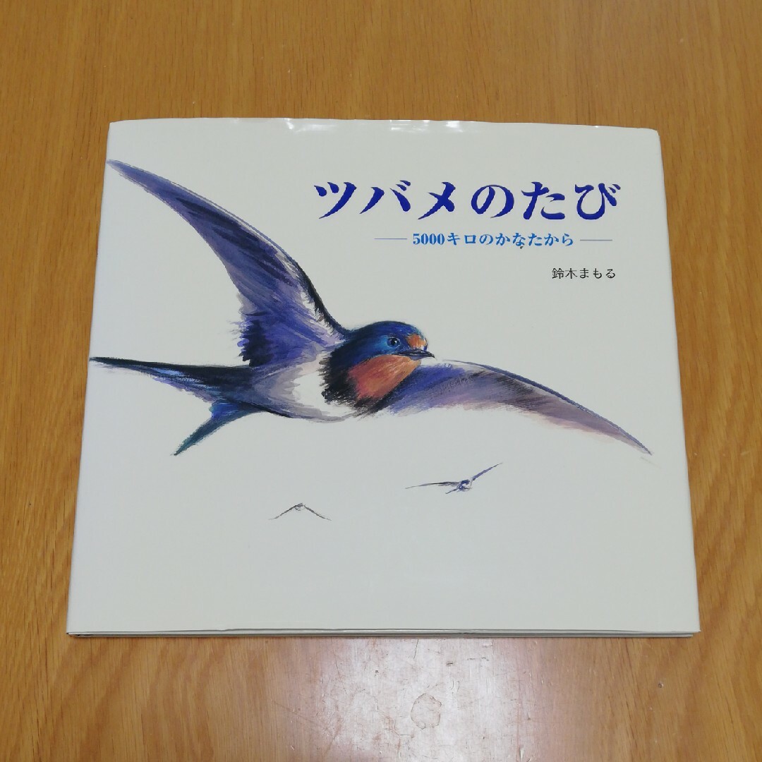 絵本「ツバメのたび」　鈴木まもる エンタメ/ホビーの本(絵本/児童書)の商品写真