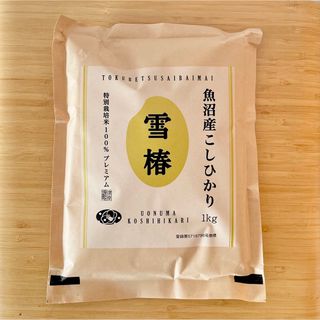 魚沼産コシヒカリ 特別栽培米 「雪椿」 1kg 令和5年産 ミシュラン店御用達(米/穀物)