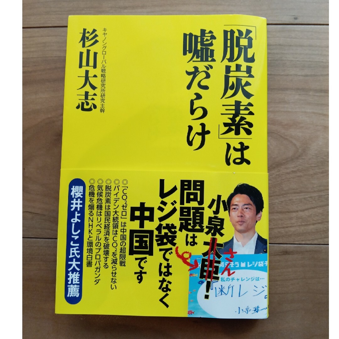 「脱炭素」は嘘だらけ エンタメ/ホビーの本(文学/小説)の商品写真