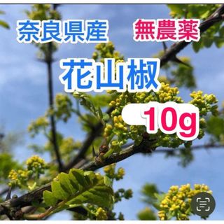 花山椒 10g 奈良県産　山椒の花　【今期最終です】(野菜)