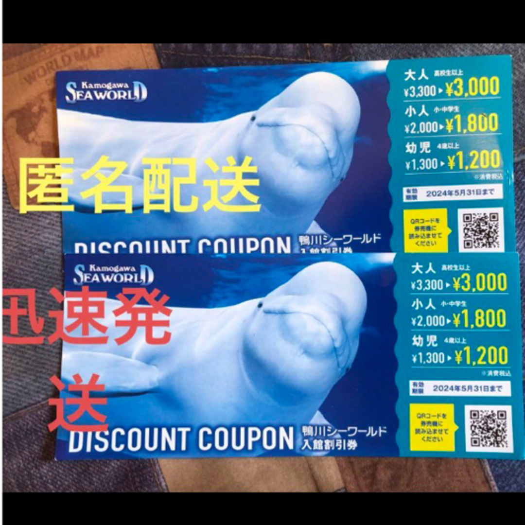 鴨川シーワールドの入館割引券 チケットの施設利用券(水族館)の商品写真