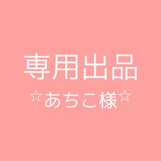 ⭐︎あちこ様専用⭐︎(その他)