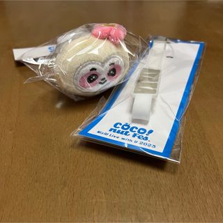 ニジュー(NiziU)の未開封品 パッチンバンド ペンライトストラップ NIZOO NiziU アヤカ(アイドルグッズ)