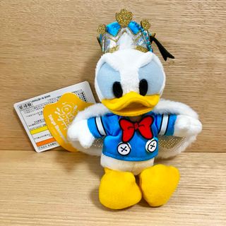 【新品未使用】ディズニー　カムファインドスプリング　ぬいぐるみバッジ