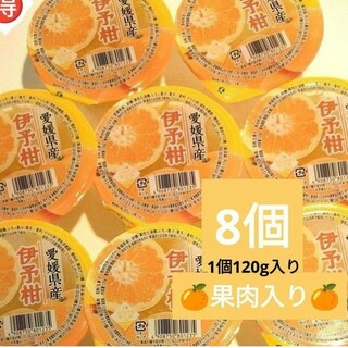 JA えひめ  愛媛の特産品《伊予柑ゼリー》8個(菓子/デザート)