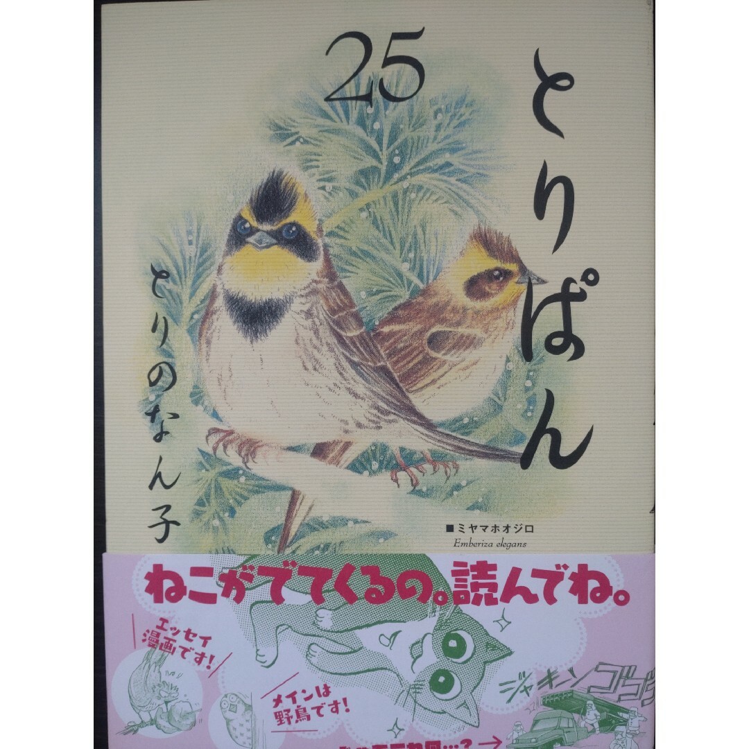 講談社(コウダンシャ)のとりぱん　第２２巻、２３巻、２４巻、２５巻　４冊セット エンタメ/ホビーの漫画(青年漫画)の商品写真