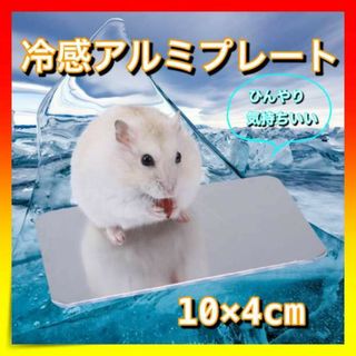 ＊冷感アルミプレート 10×4cm 小動物 夏 熱中症対策 ハムスター ペット(小動物)