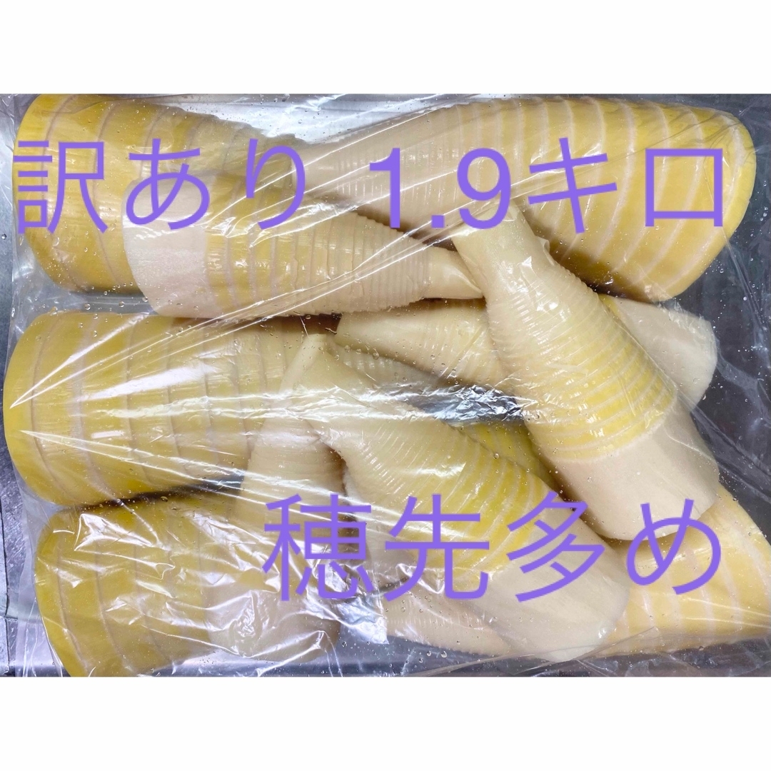 たけのこ　筍　水煮　訳あり　2キロ  C 食品/飲料/酒の食品(野菜)の商品写真