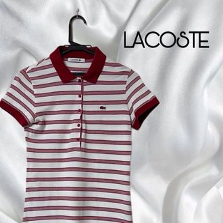 ラコステ(LACOSTE)の【美品】LACOSTE ラコステ ポロシャツ ドレス ワンピース  ゴルフ M(ひざ丈ワンピース)