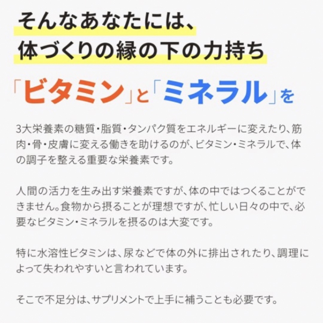 マルチビタミン＆マルチミネラル サプリメント約3ヵ月分  食品/飲料/酒の健康食品(ビタミン)の商品写真