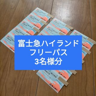 富士急ハイランド フリーパス3名分 富士急行 株主優待券(遊園地/テーマパーク)