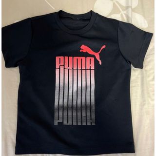 プーマ(PUMA)のPUMA キッズ Tシャツ(その他)