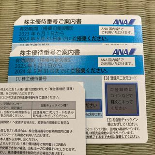 エーエヌエー(ゼンニッポンクウユ)(ANA(全日本空輸))のANA株主優待券　5月31日まで　2枚(その他)