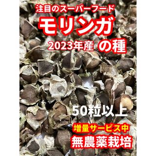 モリンガ種【50粒以上】★農薬:栽培期間中不使用★ベトナムの栽培方法記載(その他)