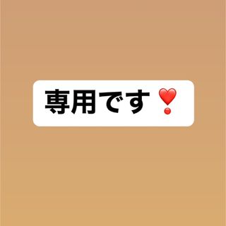 専用ページです❣️(バッグ)