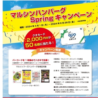 マルシンハンバーグSpringキャンペーン[応募バーコード]　18枚(その他)