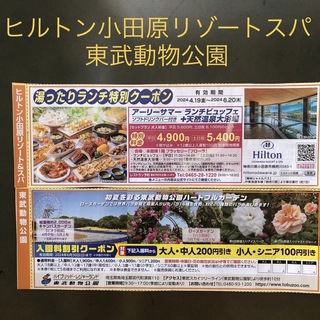 ヒルトン小田原リゾート＆スパ  東武動物公園 クーポン 割引券(その他)