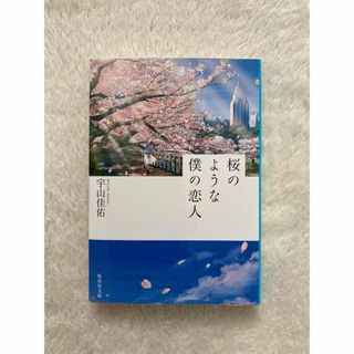 シュウエイシャ(集英社)の桜のような僕の恋人　宇山佳祐(その他)