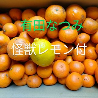 和歌山県有田産、なつみみかん、家庭用訳あ３S〜М混合箱込み5キロ。怪獣レモン付。(フルーツ)