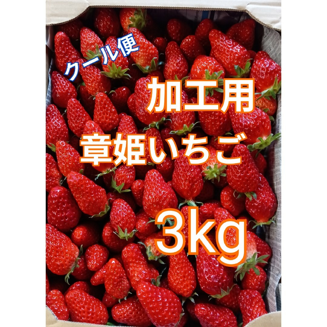 加工品用 章姫いちご 3kg クール便 食品/飲料/酒の食品(フルーツ)の商品写真