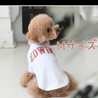 エドウィン(EDWIN)の新品　EDWIN ドッグウェア　Mサイズ　Tシャツ　白T  ペット 犬 犬服(犬)