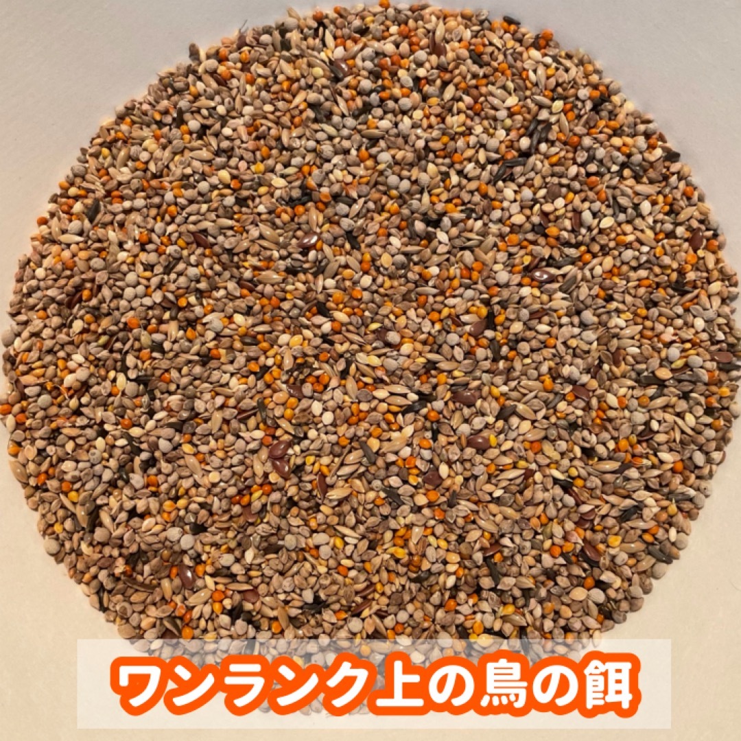 【1番人気商品】ワンランク上の鳥の餌 1500ｇ その他のペット用品(鳥)の商品写真