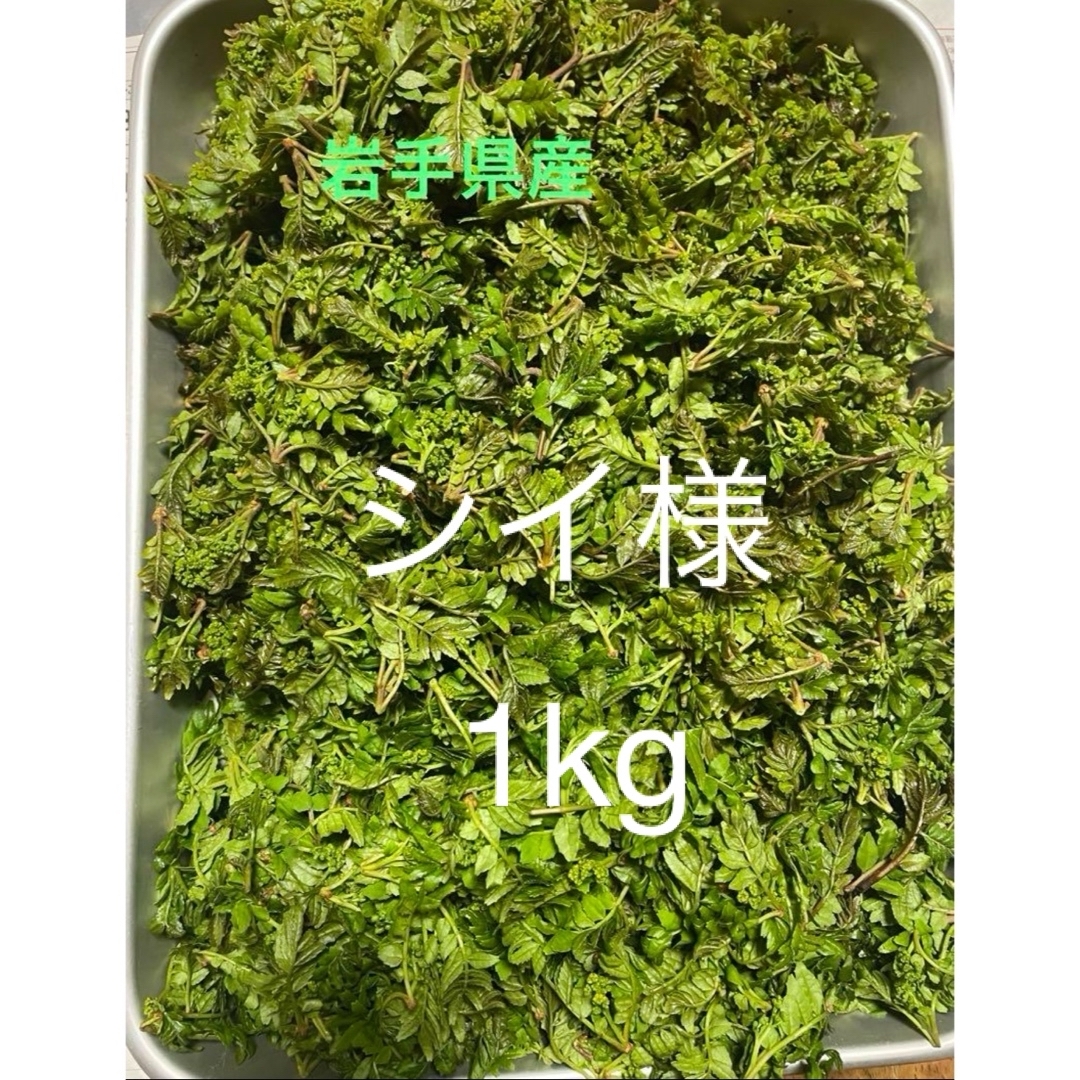 天然山椒の葉　花芽付き　1kg 食品/飲料/酒の食品(野菜)の商品写真