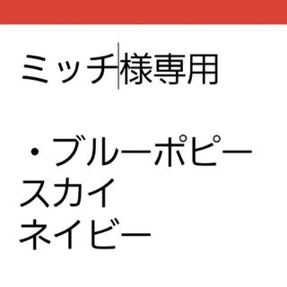 ゆうパケット　ブルーポピー☆ネイビーブルー☆種子20粒(その他)