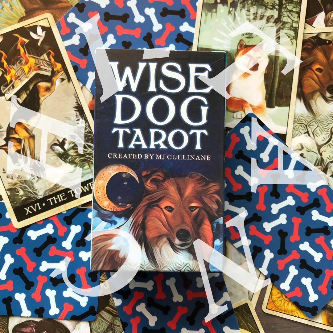 WISE DOG TAROT 賢い犬のタロット カード  占い　オラクル エンタメ/ホビーの本(趣味/スポーツ/実用)の商品写真