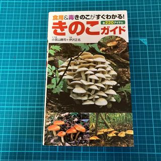 きのこガイド 食用&毒きのこがすぐわかる!