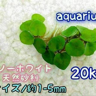 スノーホワイト 天然 砂利1-5mm 20kg アクアリウム メダカ 熱帯魚(アクアリウム)