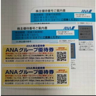 エーエヌエー(ゼンニッポンクウユ)(ANA(全日本空輸))のANA株主優待券2枚☆2024年5月31日まで(その他)