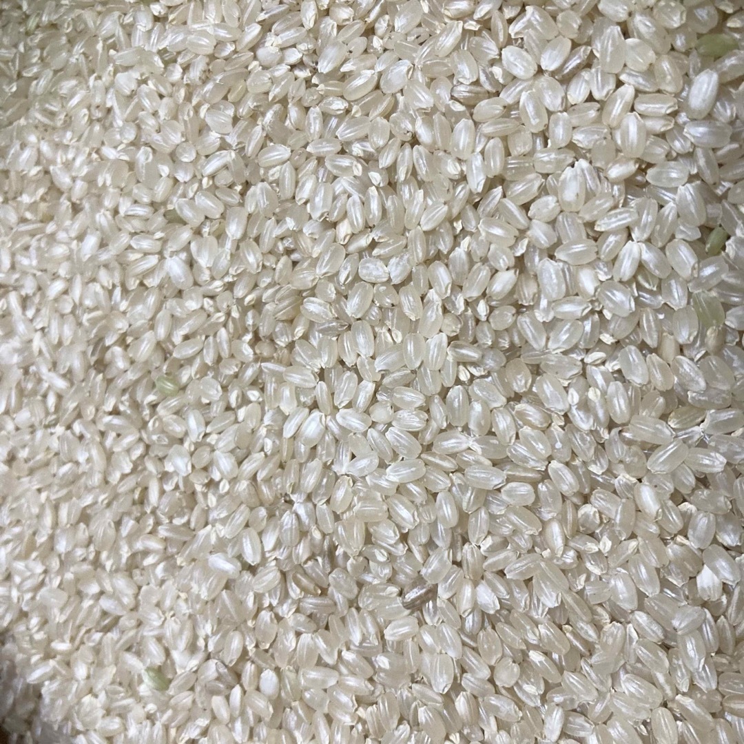 ヒノヒカリ 玄米 10kg 食品/飲料/酒の食品(米/穀物)の商品写真