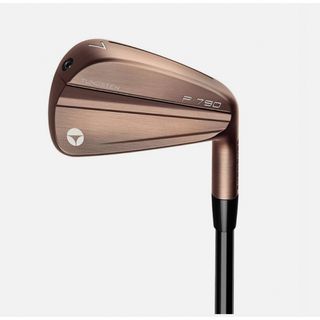 テーラーメイド(TaylorMade)のNEW  P790(23) エイジドカッパー アイアン　#5〜PW 6本セット(クラブ)