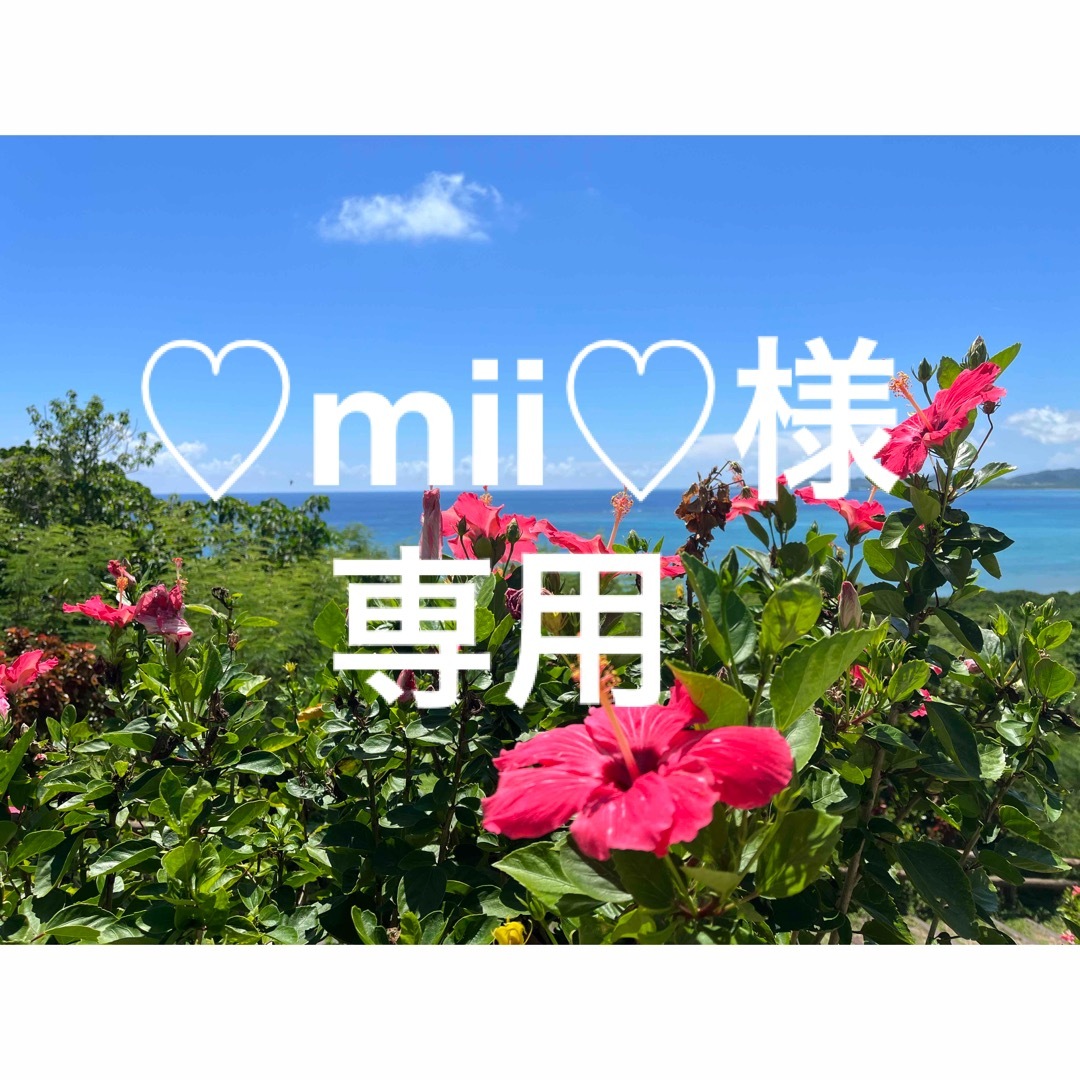 ♡mii♡様 専用 レディースのバッグ(ショップ袋)の商品写真