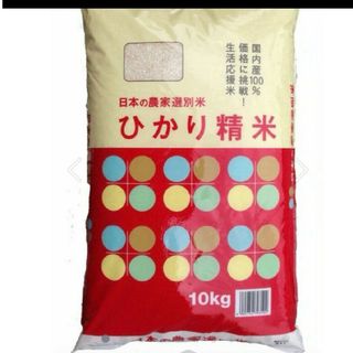 お米10kg(米/穀物)