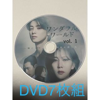 ワンダフルワールド　全14話　DVD  7枚　チャウヌ　韓国ドラマ　ドラマ ウヌ(その他)