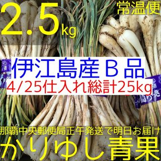 〈当店イチオシ〉伊江島産 島らっきょうＢ品約2.5kg【常温便無料】4/25①(野菜)