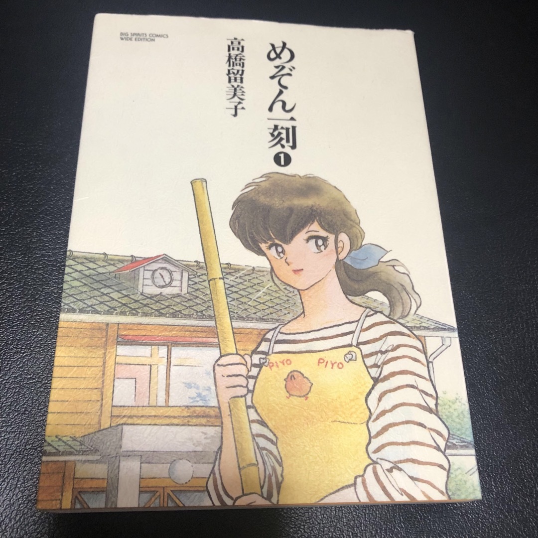 小学館(ショウガクカン)のめぞん一刻 初版 特装版  ワイド 高橋留美子 傑作集 短編集 エンタメ/ホビーの漫画(青年漫画)の商品写真