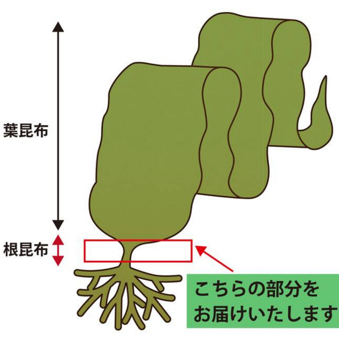 北海道産天然昆布　あつば根昆布（70ｇ×2袋）昆布水用 昆布出汁　健康食品　希少 食品/飲料/酒の加工食品(乾物)の商品写真