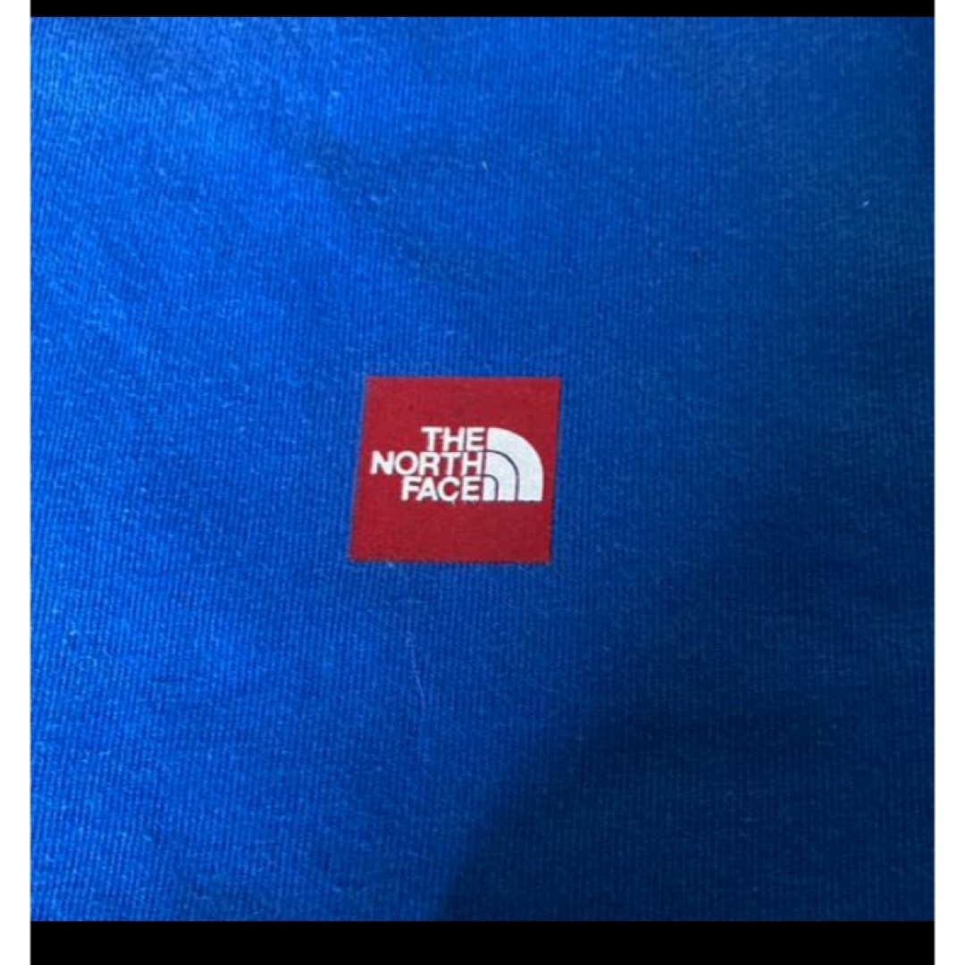 THE NORTH FACE(ザノースフェイス)のザノースフェイスブルーコットンT メンズのトップス(Tシャツ/カットソー(半袖/袖なし))の商品写真