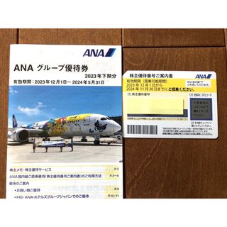 エーエヌエー(ゼンニッポンクウユ)(ANA(全日本空輸))のANA株主優待券(その他)